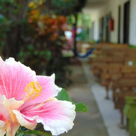 Crucero Tulum Bed and Breakfast Exteriör bild