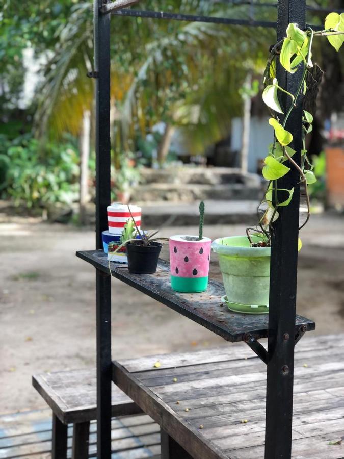 Crucero Tulum Bed and Breakfast Exteriör bild